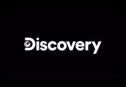 Discovery